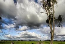 Doinb重要时刻险胜，西班牙队带队取胜！